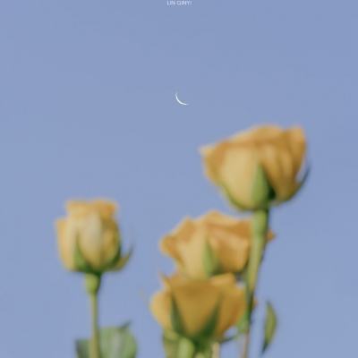 天龙八部怀旧版下载