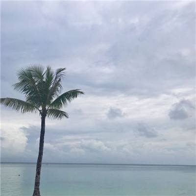 无极剑宗手游九游版下载